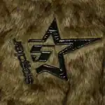 Close-up of Sp5der logo on a furry jacket, emphasizing nocturnal animal style.