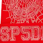 Stylish red beanie featuring a sparkling rhinestone spider web pattern, perfect for cold weather fas.